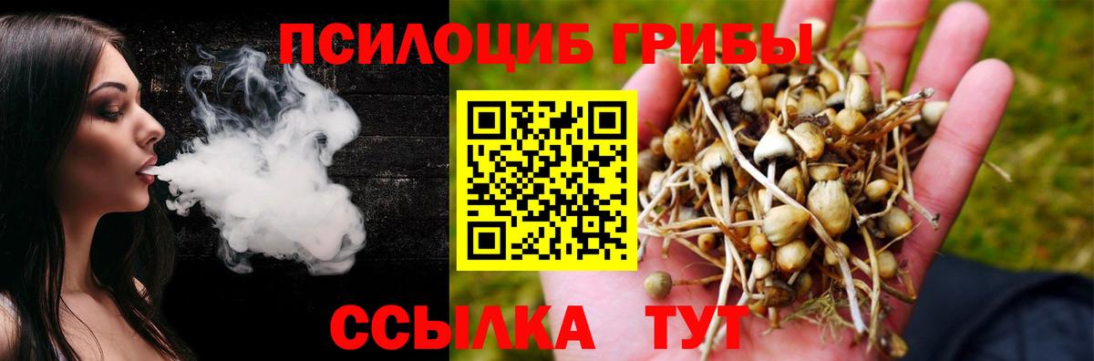 наркошоп  Псилоцибиновые грибы мухоморы  Вход с VPN  Отрадное 