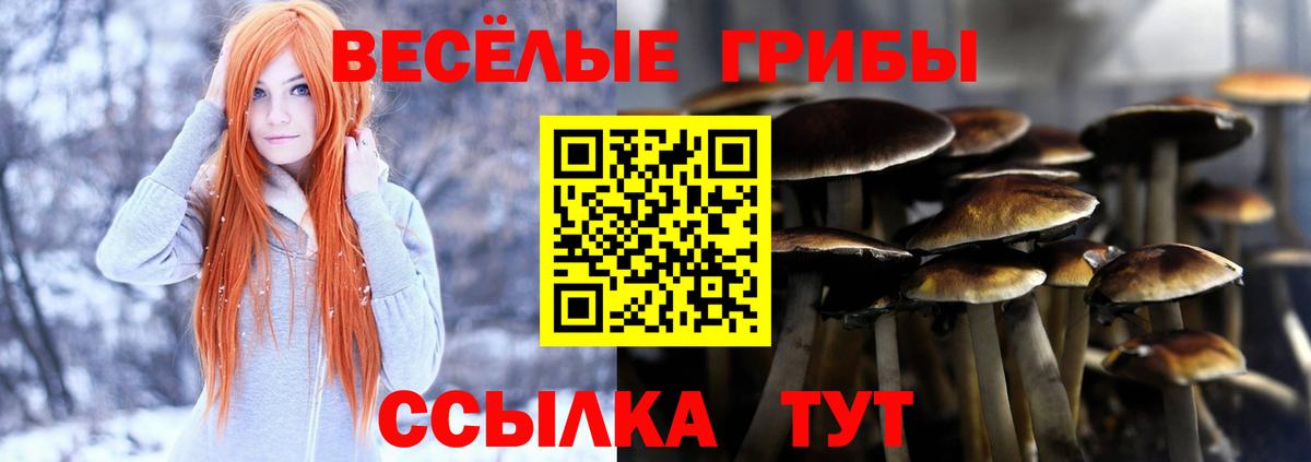 Галлюциногенные грибы GOLDEN TEACHER Отрадное
